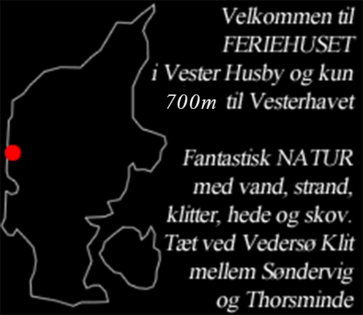 Vedersø Klit Sommerhus
